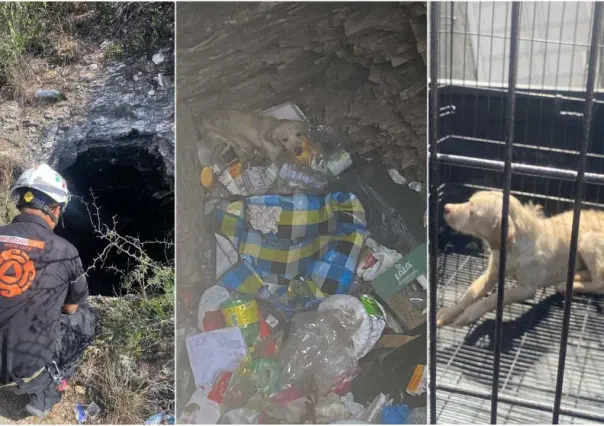 Rescatan a perrito en pozo tipo noria lleno de basura en La Estanzuela (VIDEO)