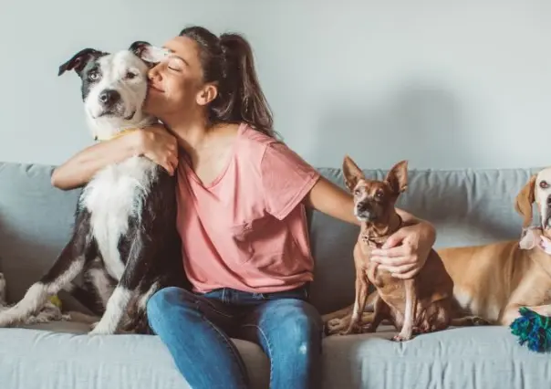 Realizaran la primera jornada de Esterilización Canina y Felina en Progreso