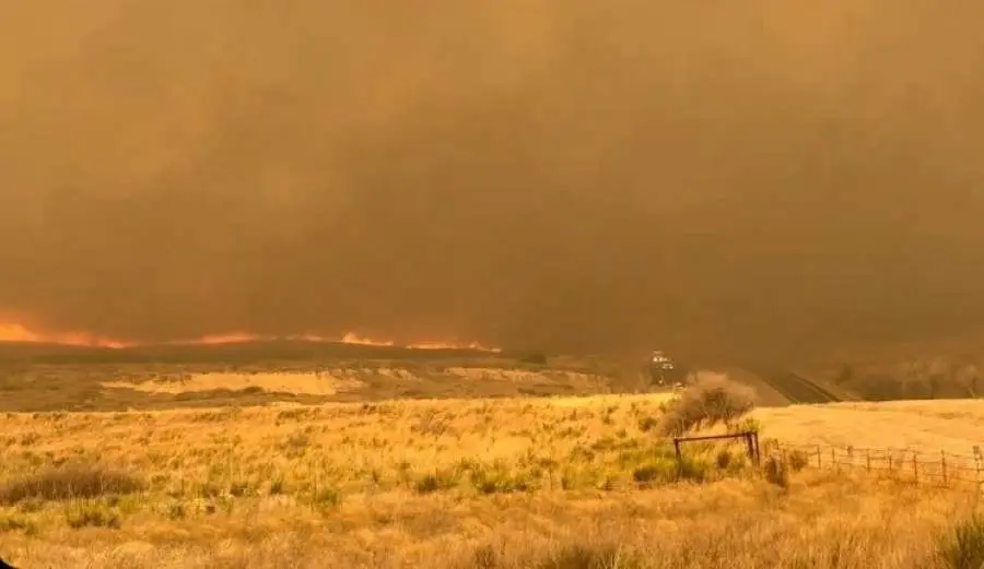 Los incendios forestales avanzaron rápidamente por el extremo norte de Texas. Foto. Captura de Imagen