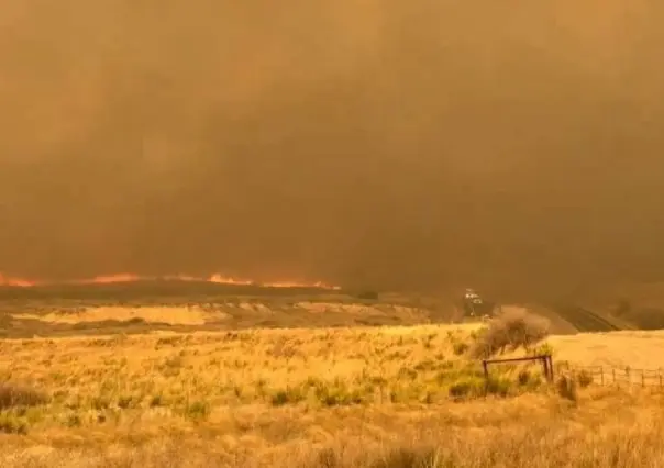 Incendios en el norte de Texas: evacuaciones y cierre de instalación nuclear