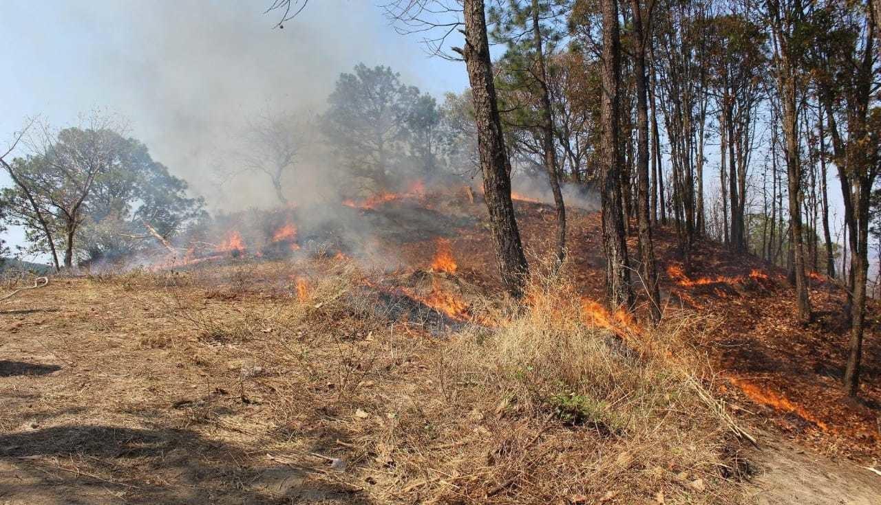 Aumento significativo de incendios forestales en el Edoméx. Foto: Especial