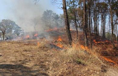 Aumento significativo de incendios forestales en el Edoméx