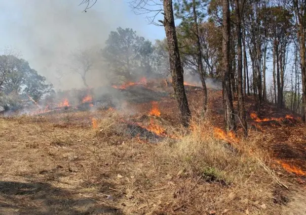 Aumento significativo de incendios forestales en el Edoméx