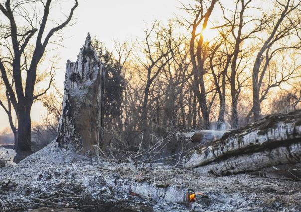 Incendio forestal en Texas: el más grande de la historia del estado