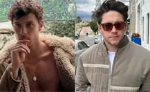 Shawn Mendes sorprende con su regreso a los escenarios en show de Niall Horan