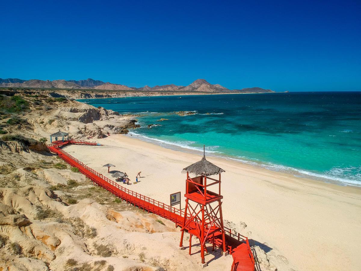 Descubre Cabo Pulmo: el Acuario del Mundo en BCS