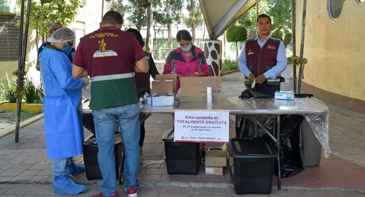 Nezahualcóyotl realizará Mega Jornada de Esterilización de perros y gatos. Foto: Gob Neza
