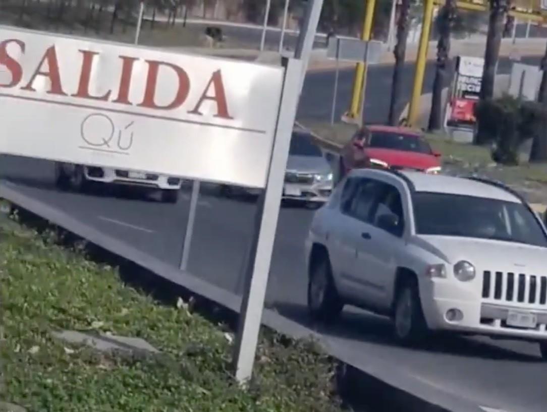 ¡Paseo de los Leones otra vez! Conductor se detiene y conduce en reversa (VIDEO)