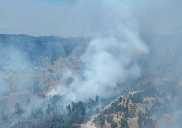 Se reactiva incendio en las faldas del Nevado de Toluca (VIDEO)