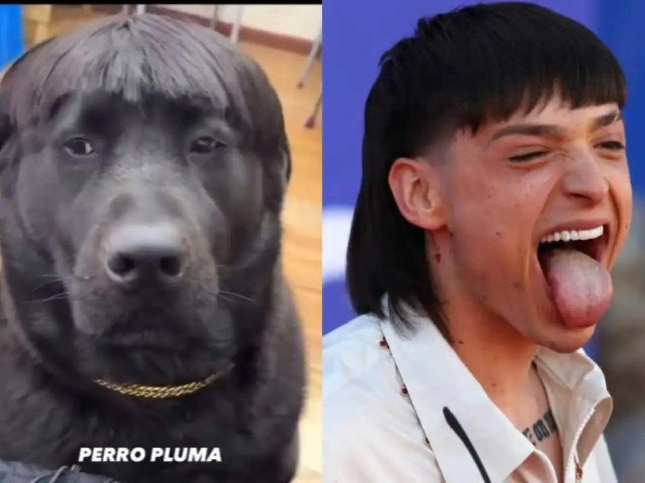 El pelo fue cortado igual que el cantante mexicano. Foto: Especial.