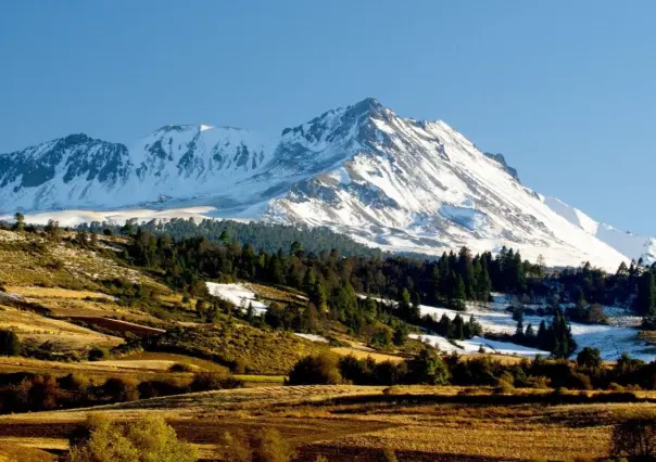 Alerta pérdida de flora y fauna en Nevado de Toluca