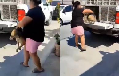 Mujer se deshace de su perrita Güera de forma cruel ¡Ya anda panzona! (VIDEO)