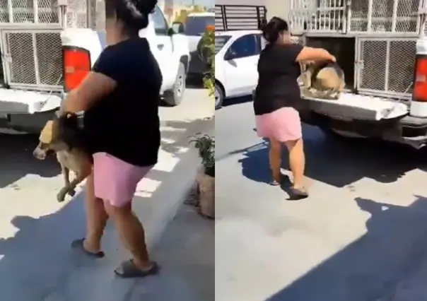 Mujer se deshace de su perrita Güera de forma cruel ¡Ya anda panzona! (VIDEO)
