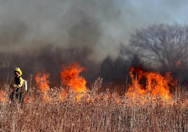 Aumentan incendios en Victoria por altas temperaturas y ausencia de lluvias