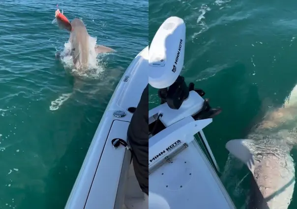 Atacan tiburones motor de un bote de pescadores ¡Viven para contarla! (VIDEO)