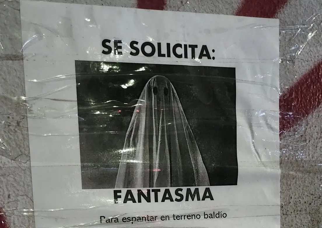 Para sorpresa de la joven, recibió una respuesta al correo que envió, donde le agradecieron su interés. Foto: X.