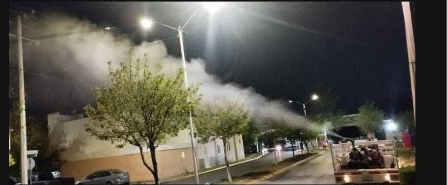 El Ayuntamiento realiza acciones de fumigación. (Fotografía: Archivo)