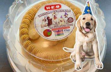 ¿Se acerca el cumpleaños de tu perrhijo?, HEB lanza venta de pasteles perrunos