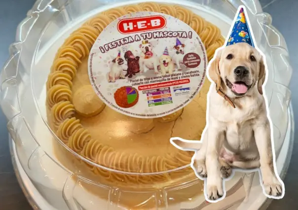 ¿Se acerca el cumpleaños de tu perrhijo?, HEB lanza venta de pasteles perrunos