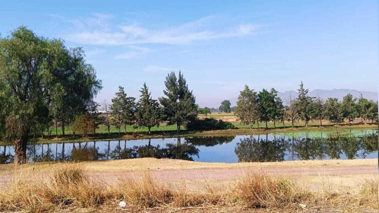 Por sequía no llegan 150 mil aves migratorias a la laguna de Zumpango