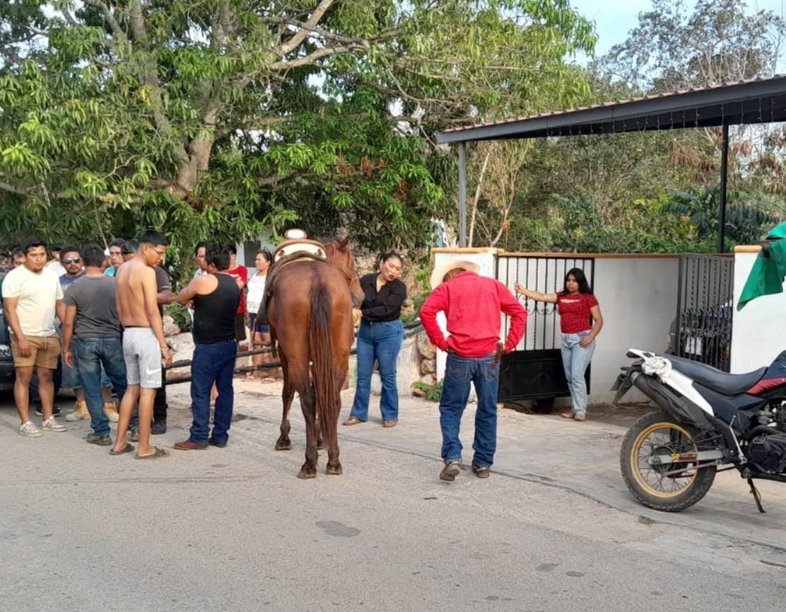 Un menor resultó gravemente herido tras ser golpeado por un caballo la tarde del domingo en Seyé.- Foto Expreso Yucatán