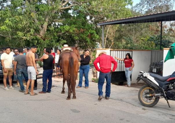 Menor grave tras ser golpeado por un caballo en Seyé