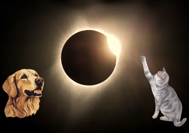 ¿Cómo afectan el eclipse solar a las mascotas? Esto debes de saber