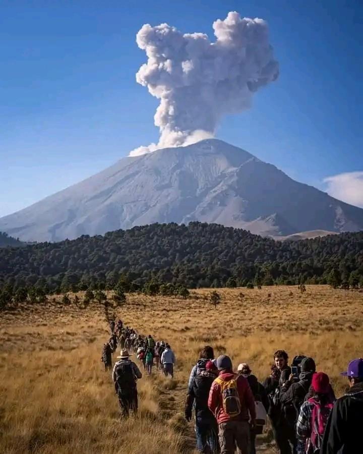 ¡Es hoy, es hoy! Cumple años el colosal gruñón que al rugir nos pone a temblar