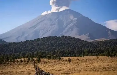 ¡Es hoy, es hoy! Cumple años el colosal gruñón que al rugir nos pone a temblar