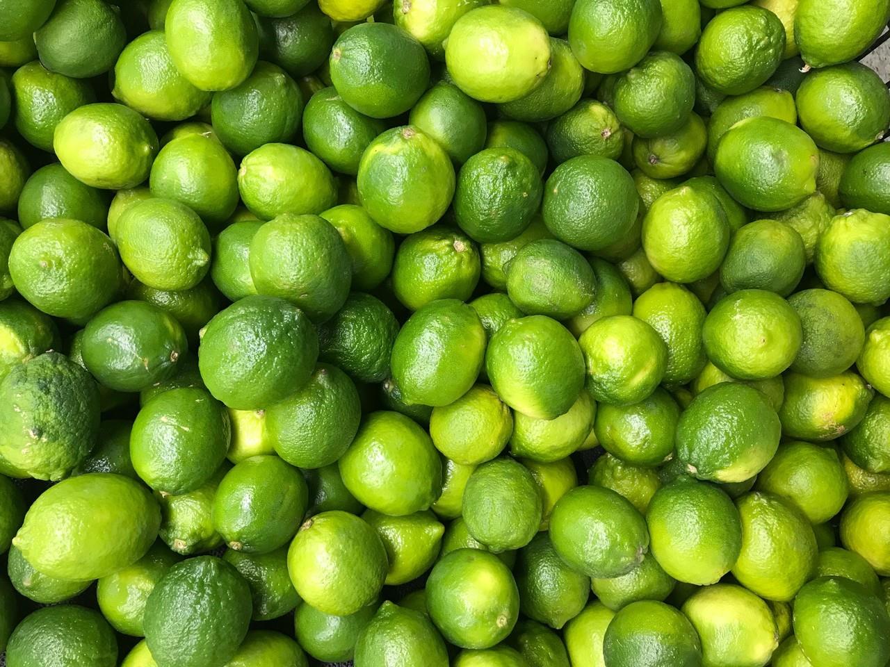 Limones en Oxkutzcab, Yucatán. Foto: Unsplash