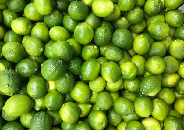 Escasez de lluvias afecta a productores de cítricos en el sur de Yucatán