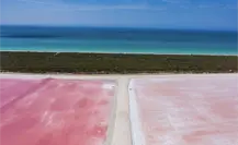 Las Coloradas, Yucatán: todo lo que debes saber