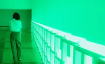 MARCO brilla con Dan Flavin: Obras de la colección Dia Art Foundation