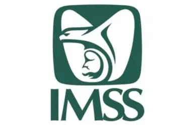 ¿De qué manera puedo consultar mis semanas cotizadas en el IMSS? Aquí te decimos