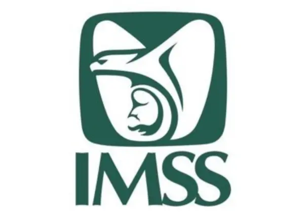 ¿De qué manera puedo consultar mis semanas cotizadas en el IMSS? Aquí te decimos