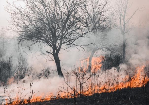 Imparten taller sobre prevención de incendios forestales