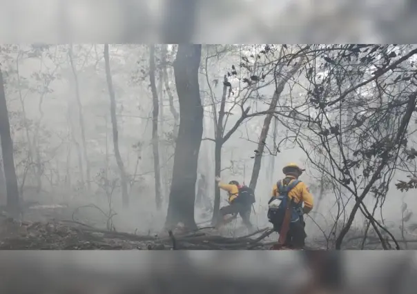 Suman 190 hectáreas consumidas por el incendio en la sierra de Hidalgo