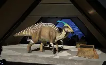 Museo del Meteorito en Yucatán: ¿Qué es y cuánto cuesta la entrada?