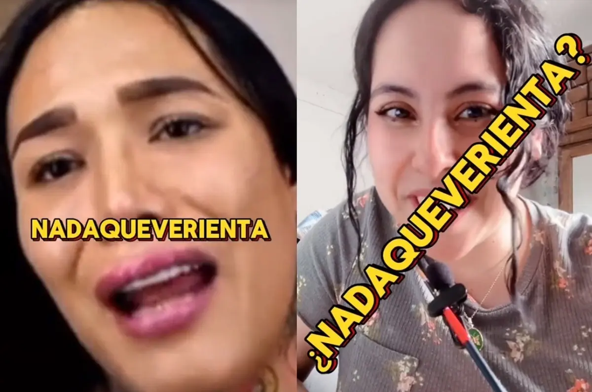 Nadaqueverienta aplica en caso de estar en una situación donde no se forma parte de ella, es decir, Nadaqueverinta o Nadaqueveriento. Foto: TikTok Larousse LATAM