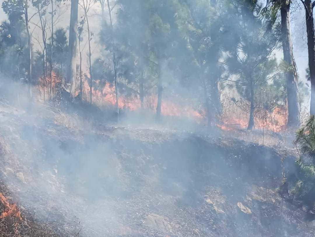 Los habitantes de la zona aledaña al cerro de La Verónica lanzaron un grito de auxilio para que les ayuden a combatir el fuego. Foto: FB La Montaña