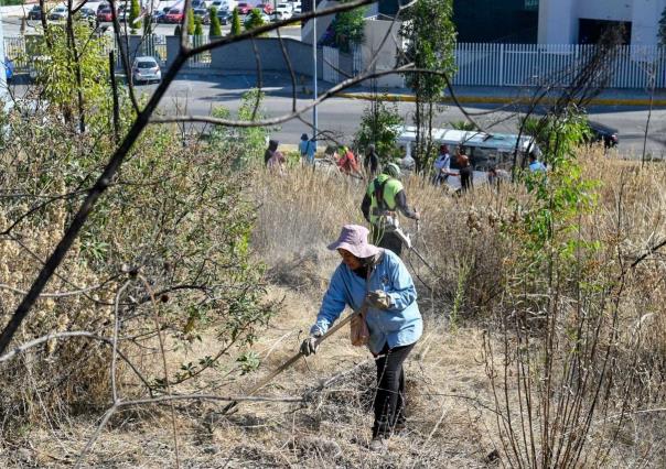 Limpian el cerro de Moctezuma en Naucalpan, buscan prevenir incendios