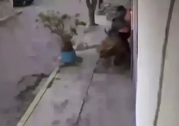 Ataca jauría a dos jóvenes en Metepec; resguardan a perros agresores (VIDEO)