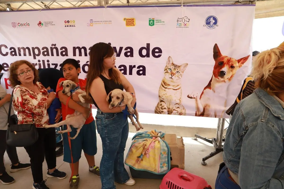 La esterilización no solo beneficia a tu mascota, sino que también contribuye a evitar el abandono. Foto: Municipio de García