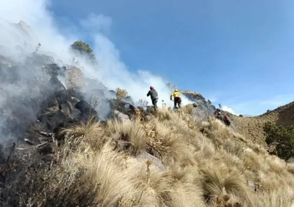 Incendio forestal en el parque nacional Izta-Popo, se queman 260 hectáreas