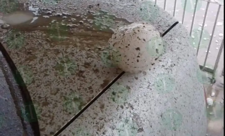 La región Carbonífera reportó granizo del tamaño de una pelota de béisbol. Foto. González punto de información