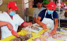 Si te gustan los productos del mar te decimos cómo consumirlos