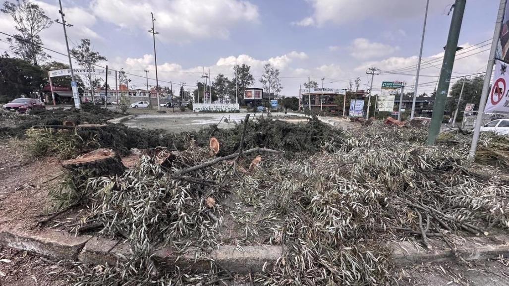 Denuncian vecinos ecocidio en la Glorieta Bosques del Lago en Cuautitlán Izcalli