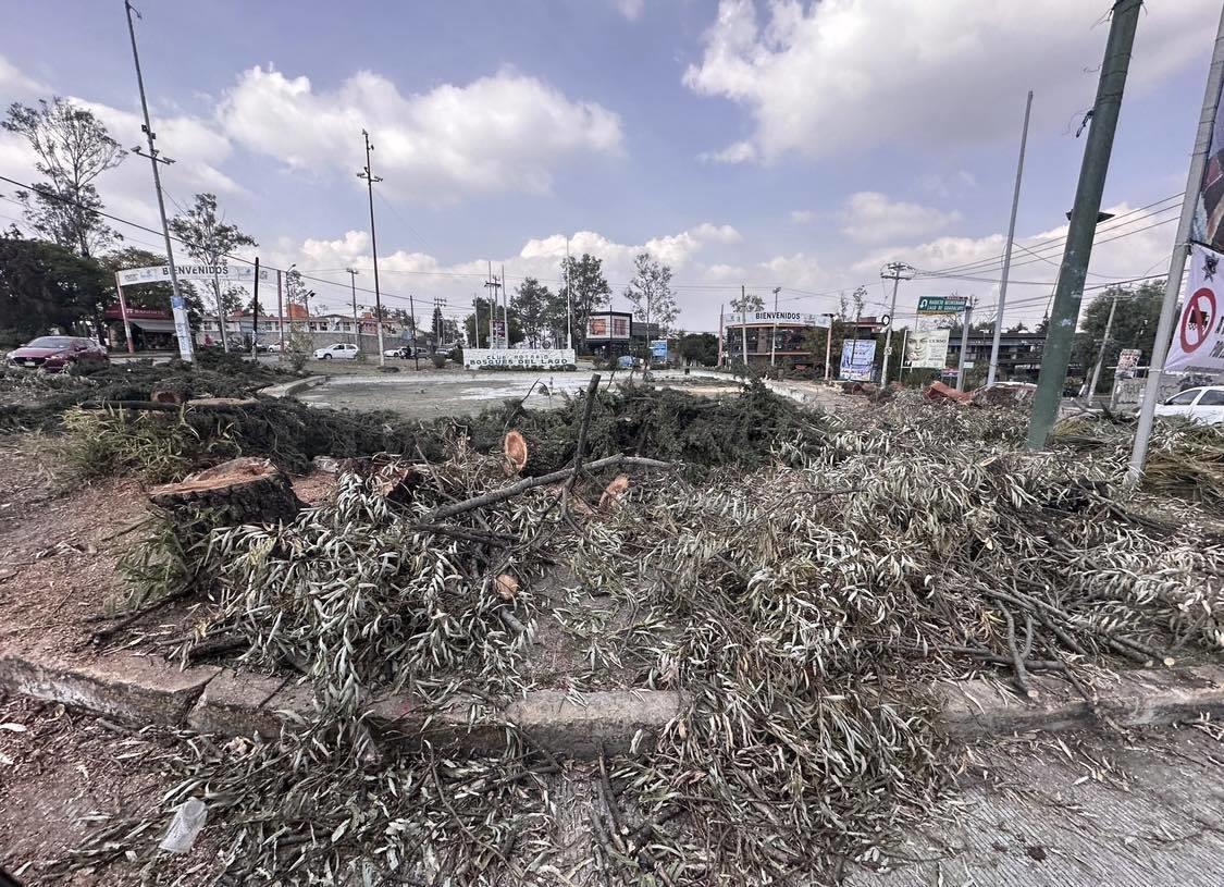 Los vecinos de la Glorieta de Bosques del Lago advirtieron que realizarán protestas hasta que haya explicaciones y justicia ecológica. Foto: FB Marko Galindo