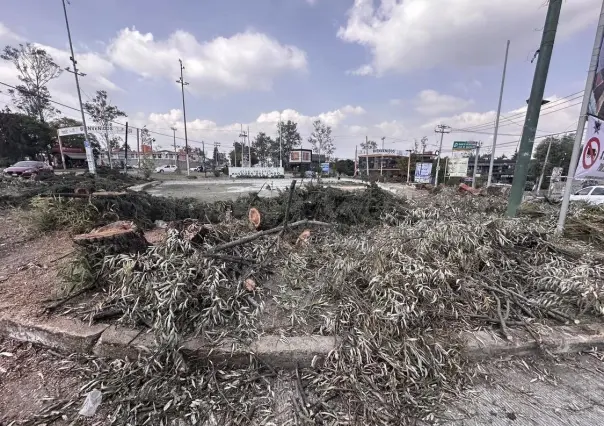 Denuncian vecinos ecocidio en la Glorieta Bosques del Lago en Cuautitlán Izcalli