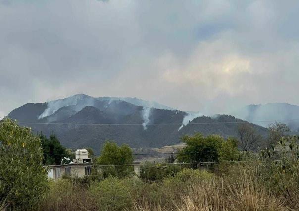 Brigadistas y voluntarios combaten incendio en el cerro de La Verónica